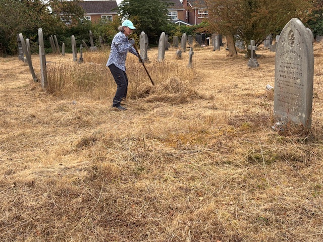 Raking and gathering the cut vegetation.