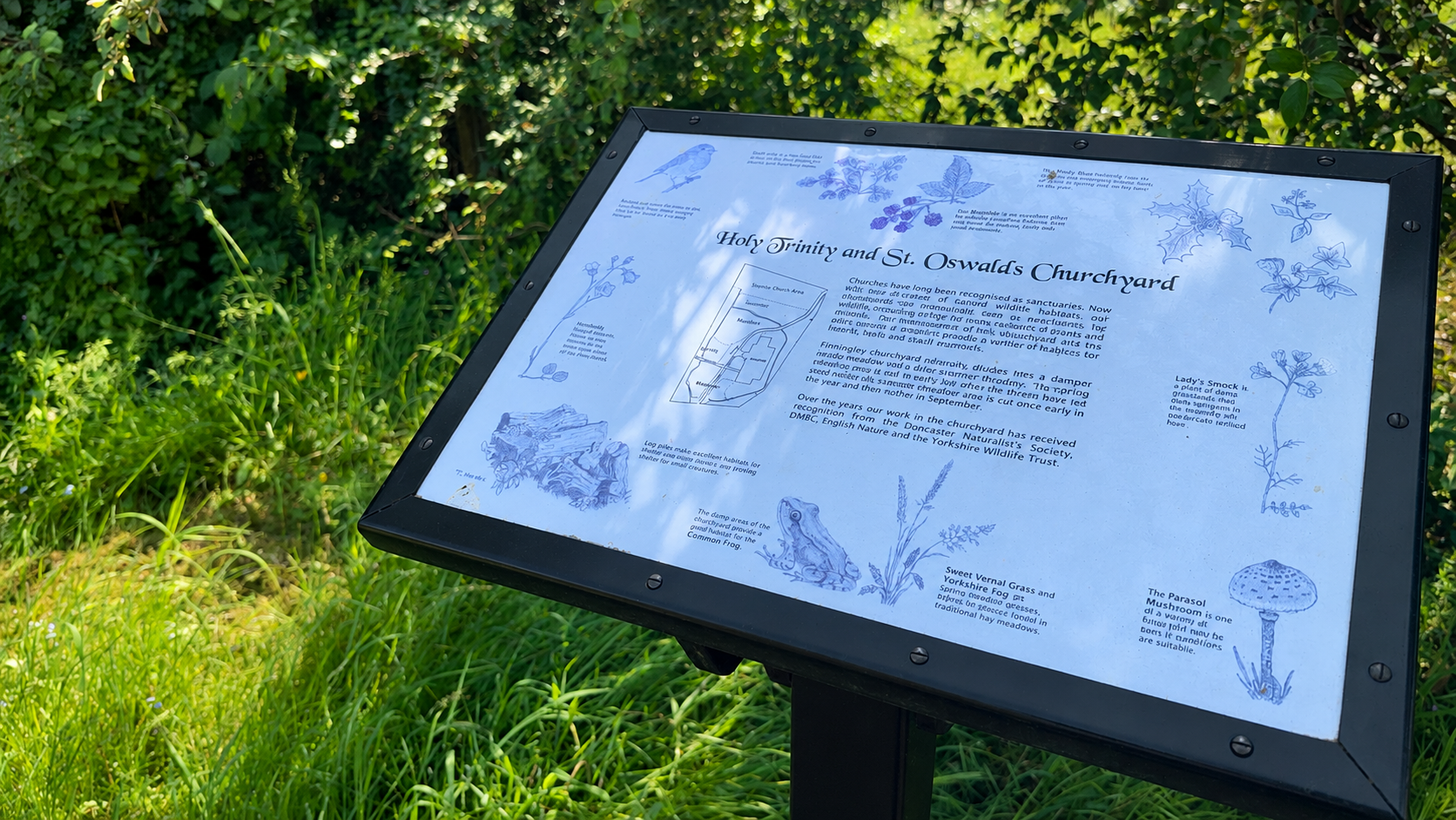 The interpretation board in Finningley churchyard, illustrating the plants and wildlife that live there